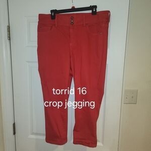 Torrid crop